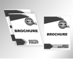 brochures-bw